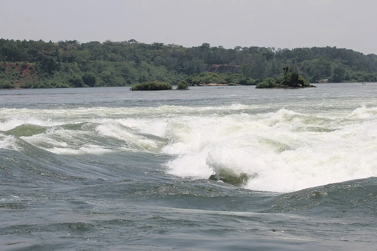 The Nile and its banks near Jinja, Uganda.
