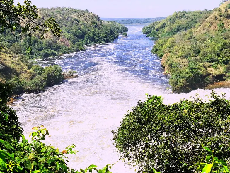 The River Nile at Murchison Falls, Uganda.