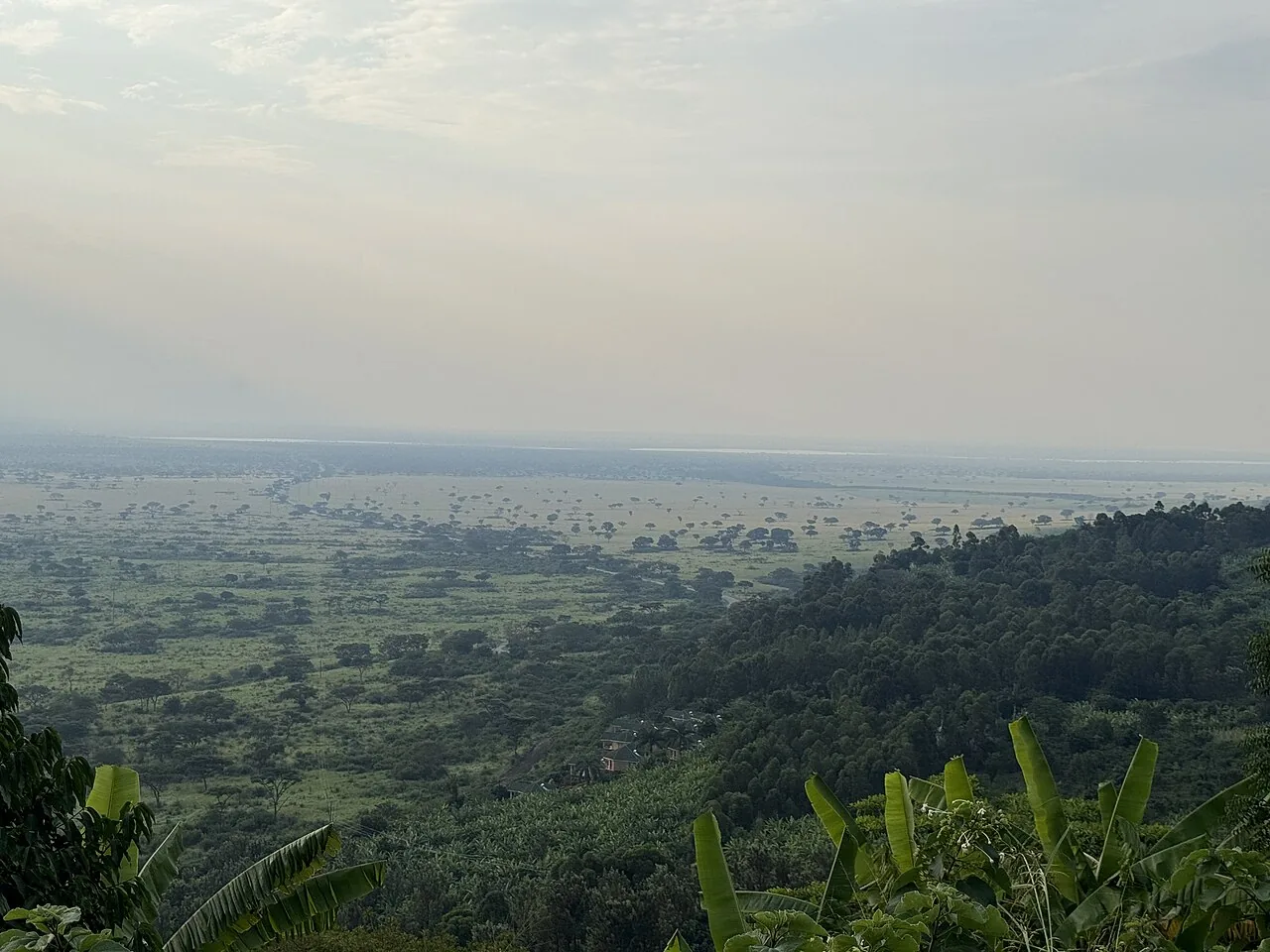 Rolling hills and farmland at Rubirizi near Queen Elizabeth National Park, Uganda.