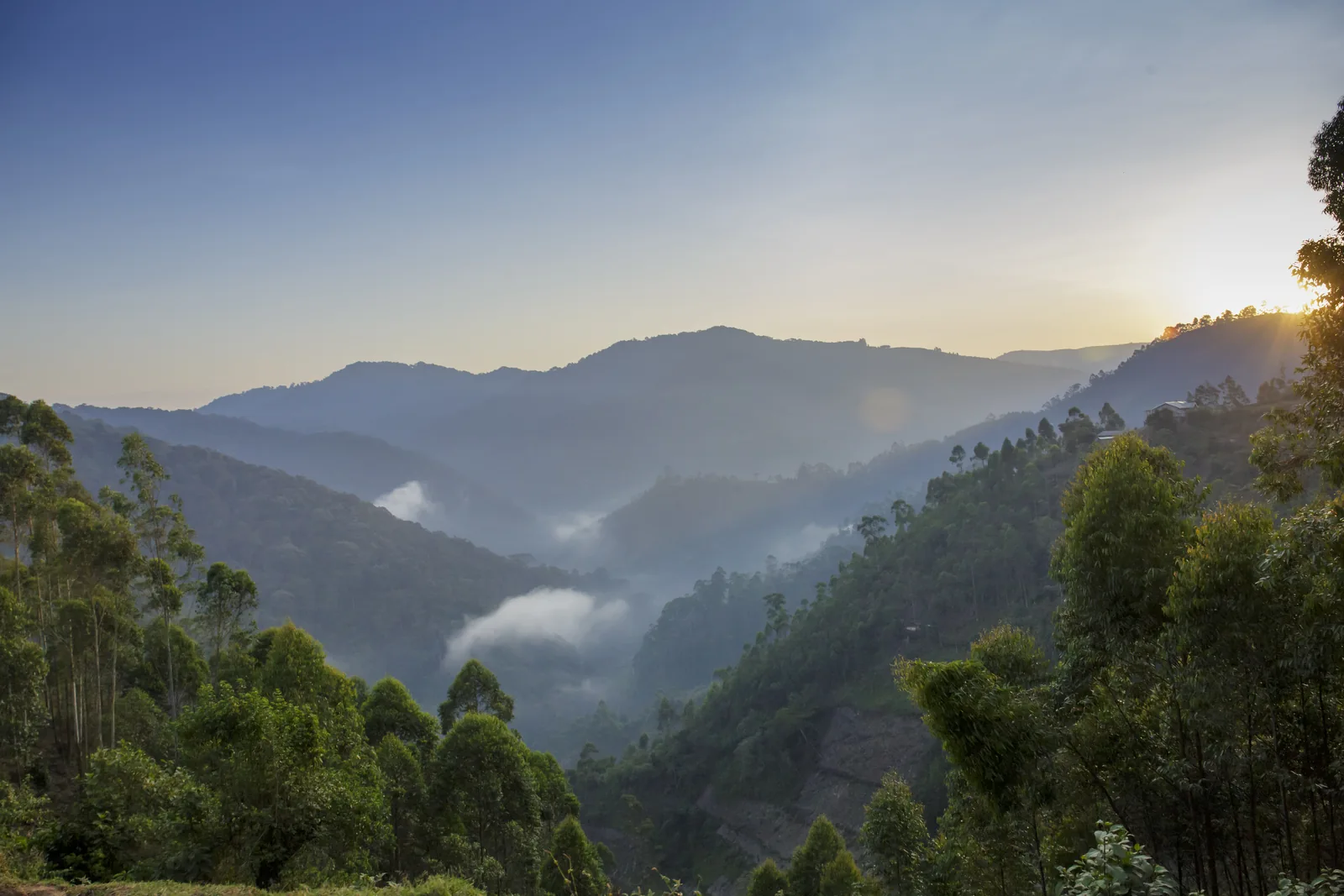 Mist between forested hills in Bwindi Impenetrable National Park, Uganda.