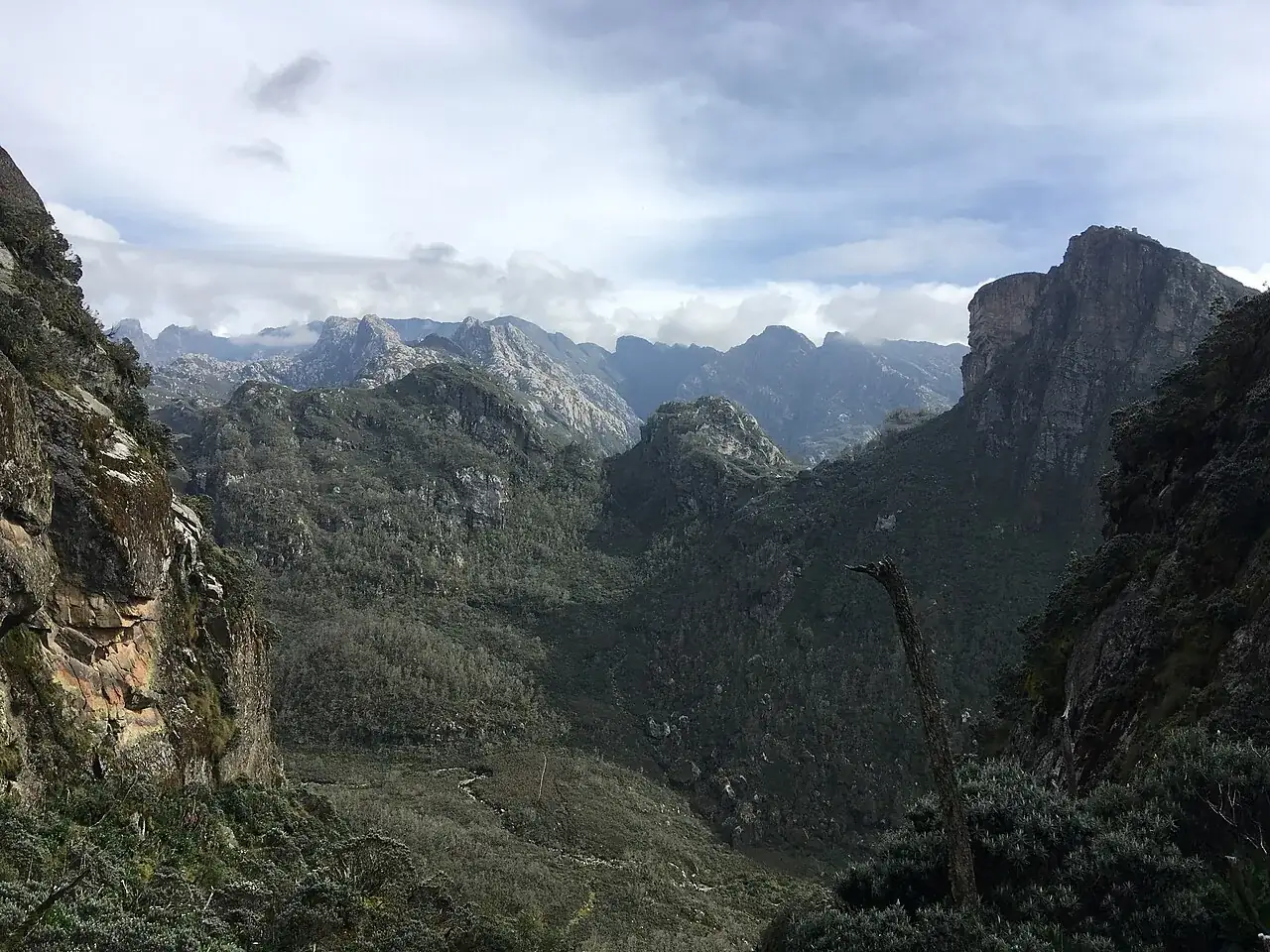 Steep green valleys and rocky peaks in Rwenzori Mountains National Park, Uganda.